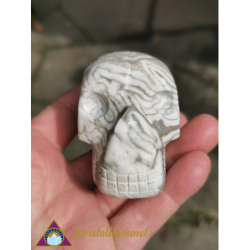 CRANIO DAL GESSO DI SERPENTE