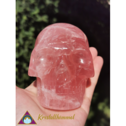 STAR ROSE QUARTZ SKULL