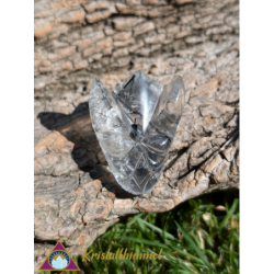 QUARTZ DE TURMALINE DRAGON