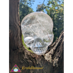 FLAT RUTILE QUARTZ SKULL