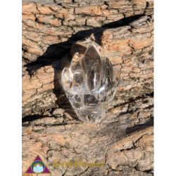 TOURMALINE QUARTZ DRAGON