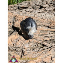 FLAT PURPURITE SKULL