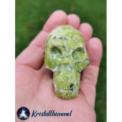 CRANIO DI LIZARDITE