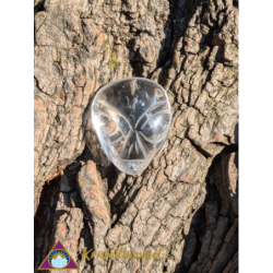 FLAT TOURMALINE QUARTZ SKULL