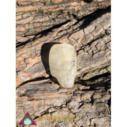 FLAT HIDDENIT SKULL