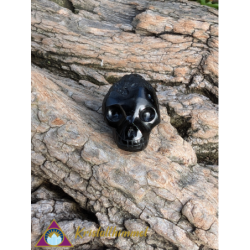 TEKTITE SKULL