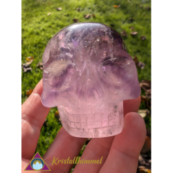 CRANIO DI AMETHYSTA