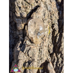 FLAT RUTILE QUARTZ CRANIUM