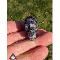 EUDIALYTE SKULL