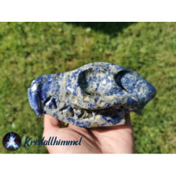 CRANIO DI ANIMALE IN SODALITE