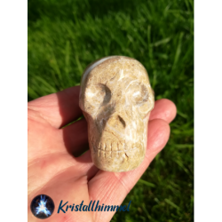 LIMESTONE SKULL