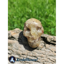 JAUNE APATITE SKULL