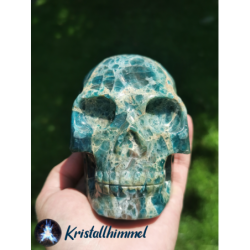 APATITE SKULL