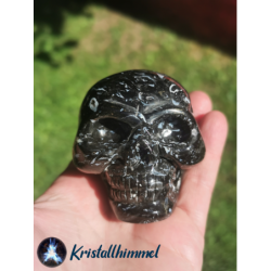 SKULL MADE OF PETRIFIED...