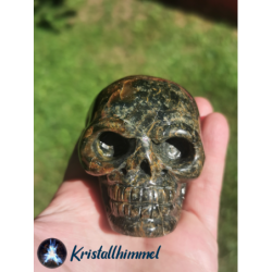 SKULL MADE OF PETRIFIED WOOD