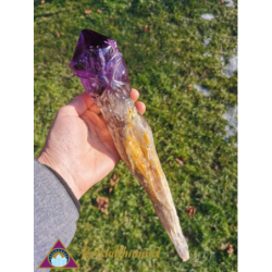 ROOT AMETHYST WITH SKULL