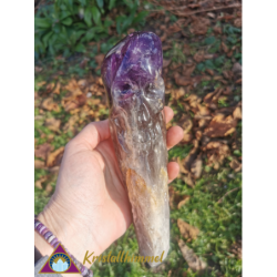 ROOT AMETHYST WITH SKULL