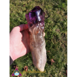 ROOT AMETHYST WITH SKULL