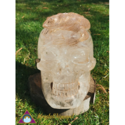 CLEAR QUARTZ SKULL WITH LIZARD