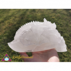 CLEAR QUARTZ SKULL WITH DRAGON