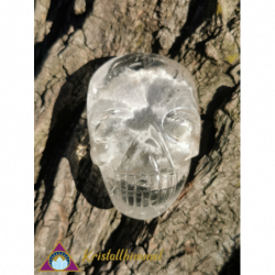 FLAT LODOLITE QUARTZ SKULL