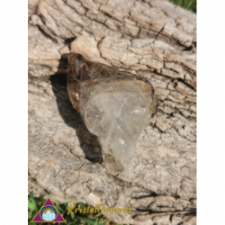 ELESTIAL SMOKY QUARTZ SKULL