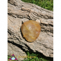 FLAT SKULL FROM GOLDEN HEALER