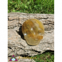 FLAT SKULL FROM GOLDEN HEALER