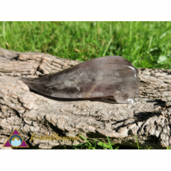 CRANIO DI AMETHYSTA