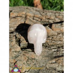 FLAT ROSE QUARTZ SKULL