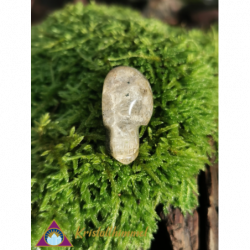 LODOLITHE QUARTZ SKULL