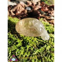 ELESTIAL CITRINE SKULL