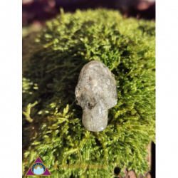 LODOLITE QUARTZ SKULL