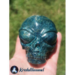 APATITE SKULL