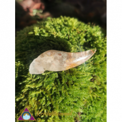 LODOLITE QUARTZ SKULL